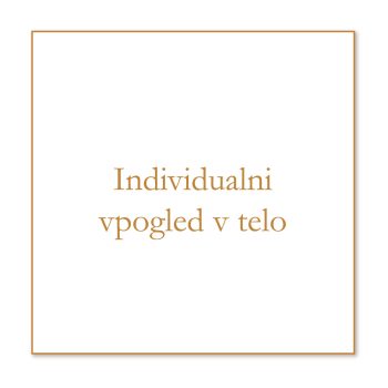 Individualni vpogled v telo