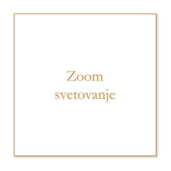 zoom svetovanje